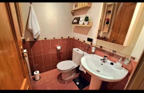 Garnacha Tinta VT-LR-2179 - Photo 29