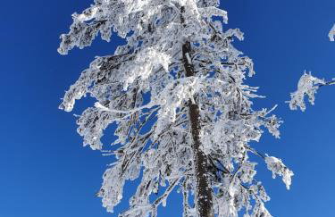 Czarna Góra Apartament 319 - Foto 30