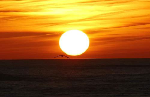 Ma Chaumiere - Foto 50