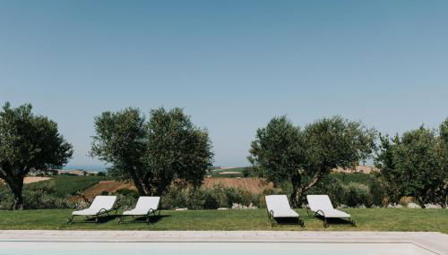 L'Ulivo Bianco - Foto 3