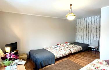 Pod Modrzewiem - Foto 6