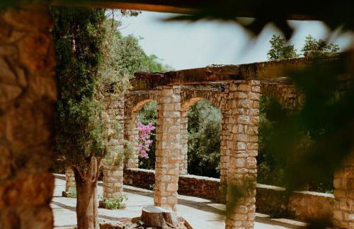 Mas Noguer - Foto 11