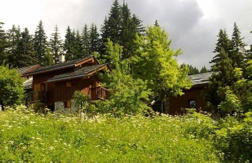 Meribel Altitude1600 chalet 6 personnes en pleine nature au milieu des pistes - Foto 21