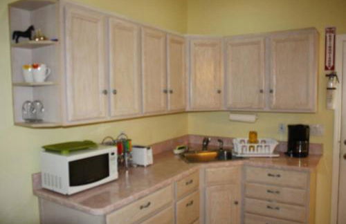 Beach, Oceanfront, Flagler Beach Rental - Photo 23