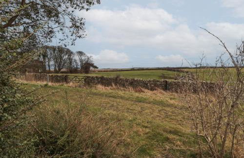 The Smithy - Photo 38