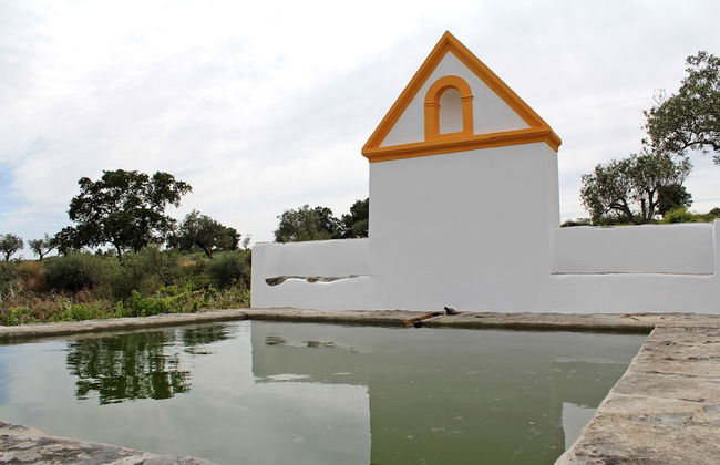 Cabeças do Reguengo - Photo 51