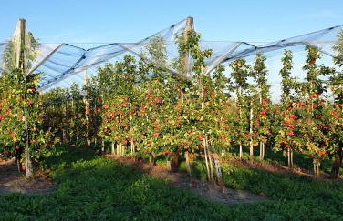 Ferienwohnung am Rotach - Foto 63