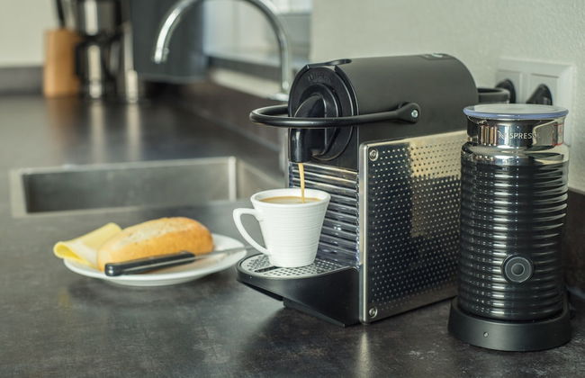 Beautiful Luxurious Villa Situated in Den Burg - Foto 51