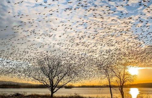 Black Bear Lodge @ Middle Creek - Foto 44