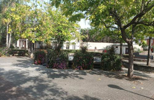 LA CASA VERDE - Foto 11