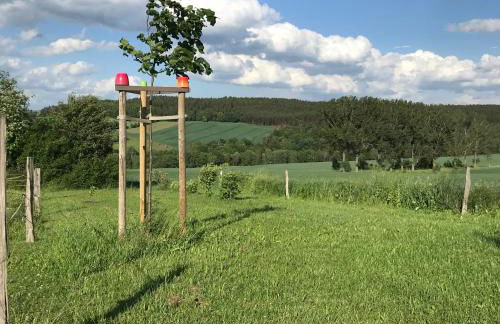 Energietanken vor den Toren Dresdens -barrierefrei- - Foto 4