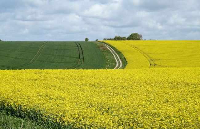 Manor Farm B & B - Foto 45