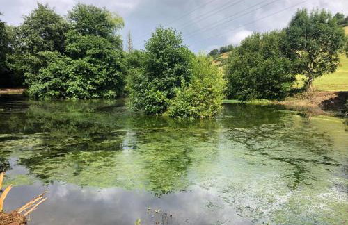 1 Bed in Trehunist oc-chretr - Foto 17