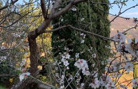 La dimora di Titiro - Foto 35