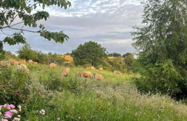 Ancienne grange typique nichée au cœur du Cantal - Photo 32