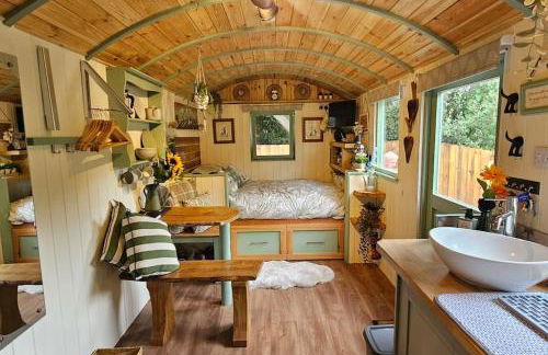 Cozy Cobblers Cabin - Photo 1