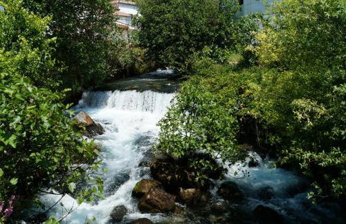 Casa Rural El Nacimiento - Photo 60