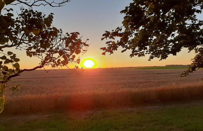 Krusenhagen Apartment With Garden - Foto 40
