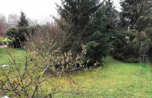 De brique & de bois, Lac du Der - Foto 19