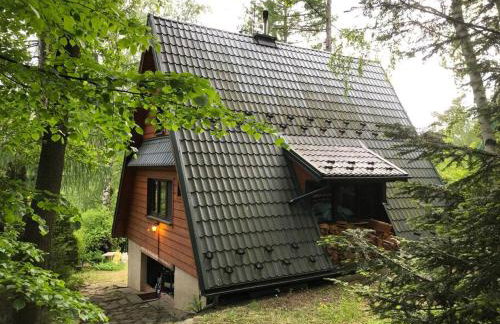 Domek w Lesie - Foto 14