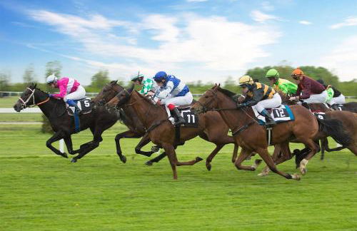 Cosy Rural Retreat Perfect for Families and Pets - Foto 39