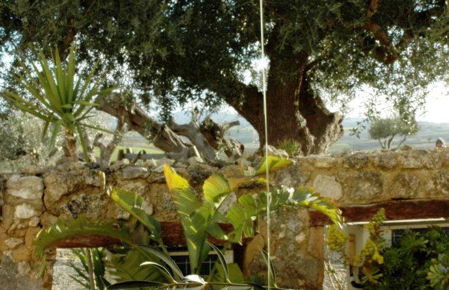 Agriturismo Baglio San Nicola - Foto 76