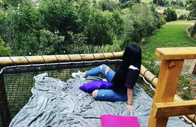 Glamping Bosques del Moral - Foto 4