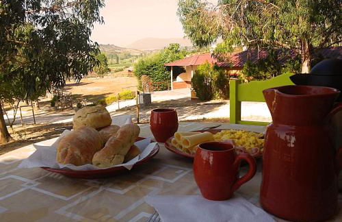 Herdade da Hera - Foto 33