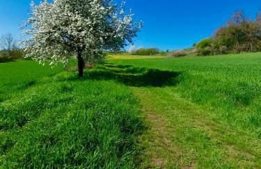 Fewo Unterm Stein - Rotkäppchen - 3 Schlafzimmer - Foto 29