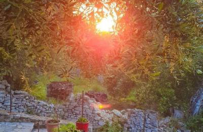 Villa RAXI - Photo 15