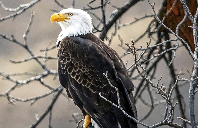 2 Person Holiday Home in Varberg-by Traum - Foto 16