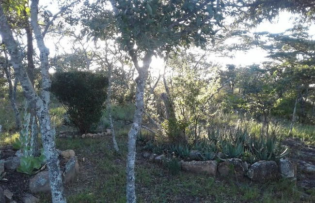 Paz Cottage - Foto 28