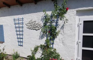 Fewo Steuerbord - Foto 16