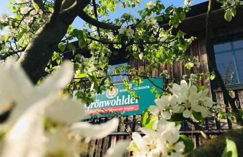 Kleines Ferienhäuschen im Grünen am Wasser - Foto 14