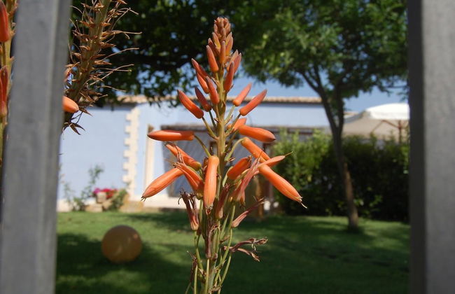 Terre Iblee Resort - Foto 45