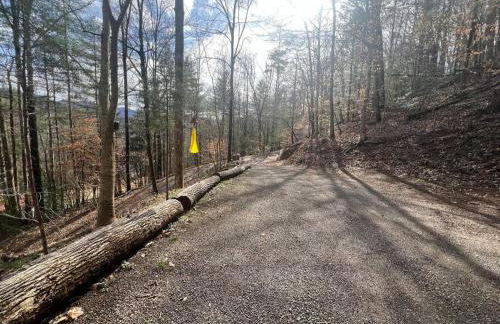 Private Mtn Love Shack w/ fast wifi, BBQ & view - Foto 56