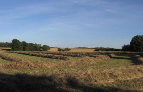 Apartment in Faverolles near the Beach - Foto 24