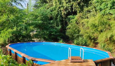 Oasi degli ulivi con piscina privata tra Versilia e Cinque Terre - Foto 2