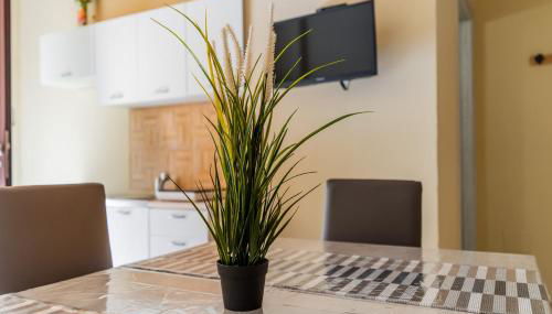 La rimesa di Tittì - Simone - Foto 3