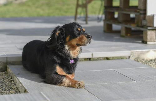 Il Giardino di Marzo Guest House - Foto 23