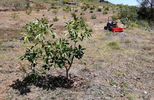 Casa Rural Las Caldereras - Foto 5