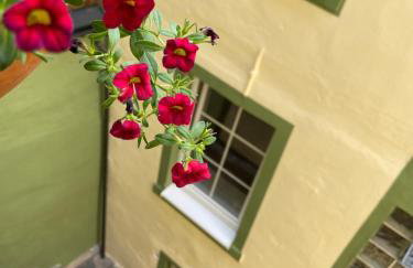 Grünberg House - Foto 3