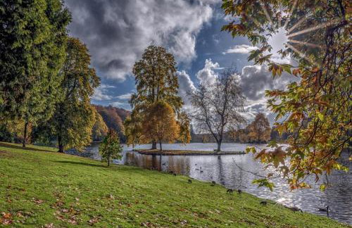 1 Bed in Queen Camel oc-c30506 - Photo 15