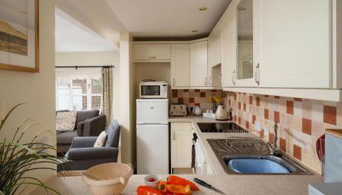 Owl - Ukc6107 - Foto 4