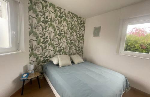 Magnifique Logement f2 Vosges La vôge-les-bains - Foto 9