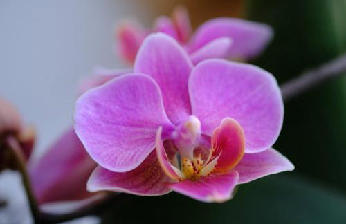 altes forsthaus schotten - Photo 21