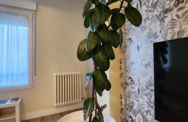 Casa Román DamaJuana Edificio Rehabilitado SIN ASCENSOR - Foto 17