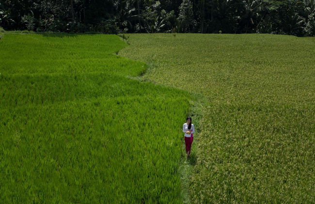 Alosta Luxury Private Villa - Foto 35