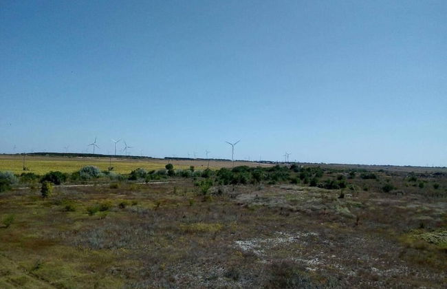 July Morning Seaside Resort - Photo 59