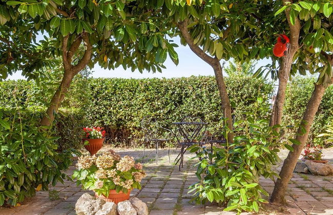 Artisti del Cavallo Tourism - Foto 29